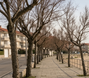 Muoversi in scooter